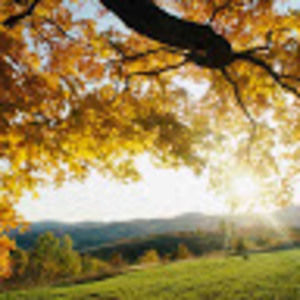 Meet your Posher, Eve'amarie